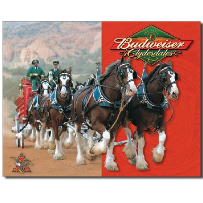 BUDWEISER CLYDESDALES