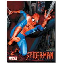 1219 SPIDERMAN