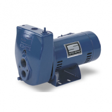 HMSE1F PUMP =1.0HP SW/DW 2STG