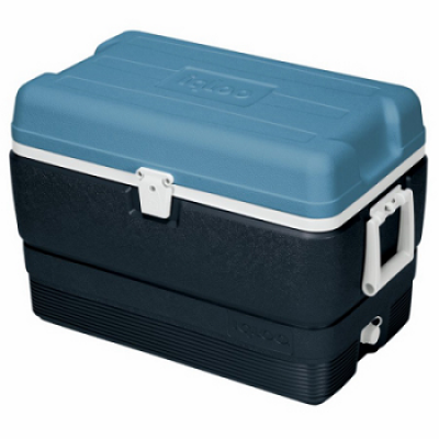 34484 COOLER =40qt-MAXCOLD