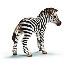 14393 FOAL =ZEBRA***************