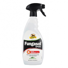 430430 FUNGASOL =22oz-SPRAY