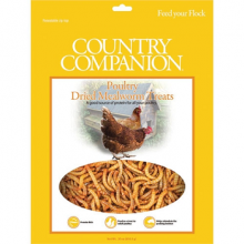 CC002 MEALWORMS =10oz-CNTY COMP.