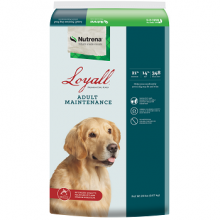 136003 FOOD =DOG-LOYALL MAINT40*