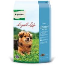 136111 FOOD =DOG-LL-L&R-20#(BLU)